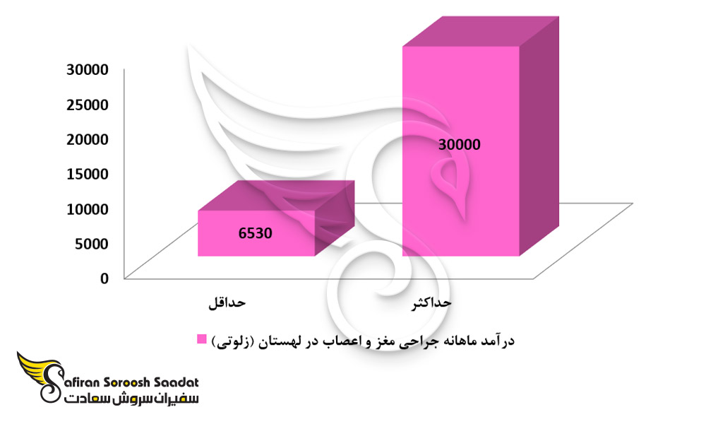 درآمد رشته جراحی مغز و اعصاب در لهستان