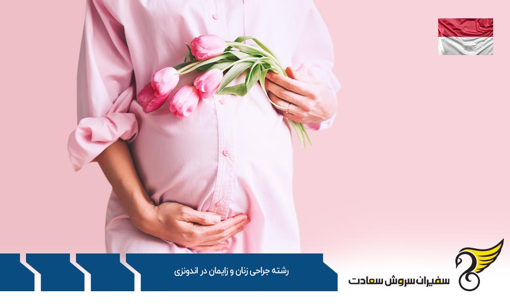 معرفی دانشگاه های رشته جراحی زنان و زایمان در اندونزی