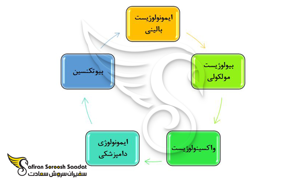 محبوب ترین مشاغل موجود در رشته ایمنی شناسی در آرژانتین