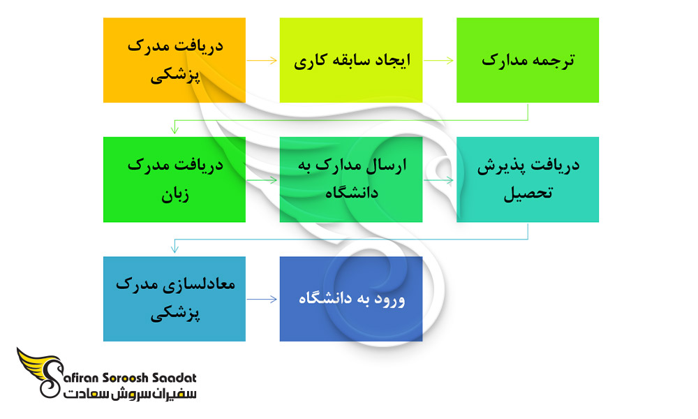 مراحل تحصیل رشته جراحی مغز و اعصاب در اسکاتلند