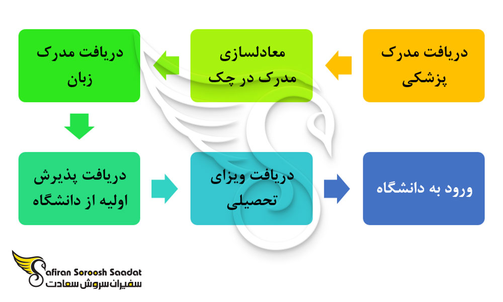 مراحل تحصیل رشته جراحی زنان و زایمان در چک