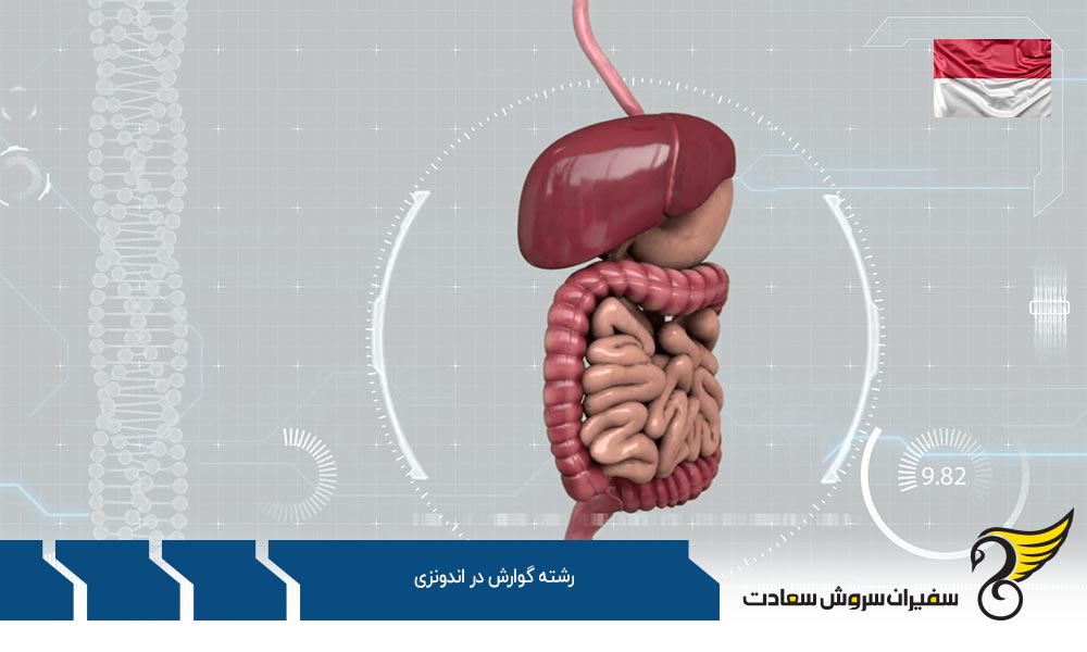 تحصیل رشته گوارش در اندونزی