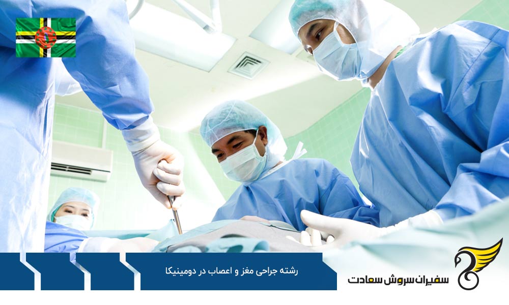 تحصیل رشته جراحی مغز و اعصاب در دومینیکا