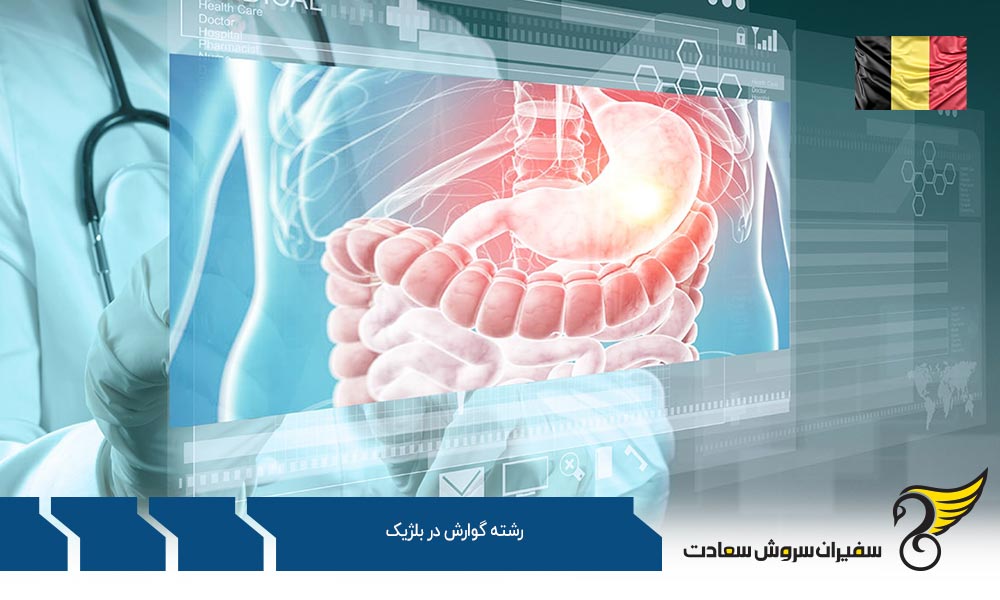 بهترین دانشگاه ها برای رشته گوارش در بلژیک