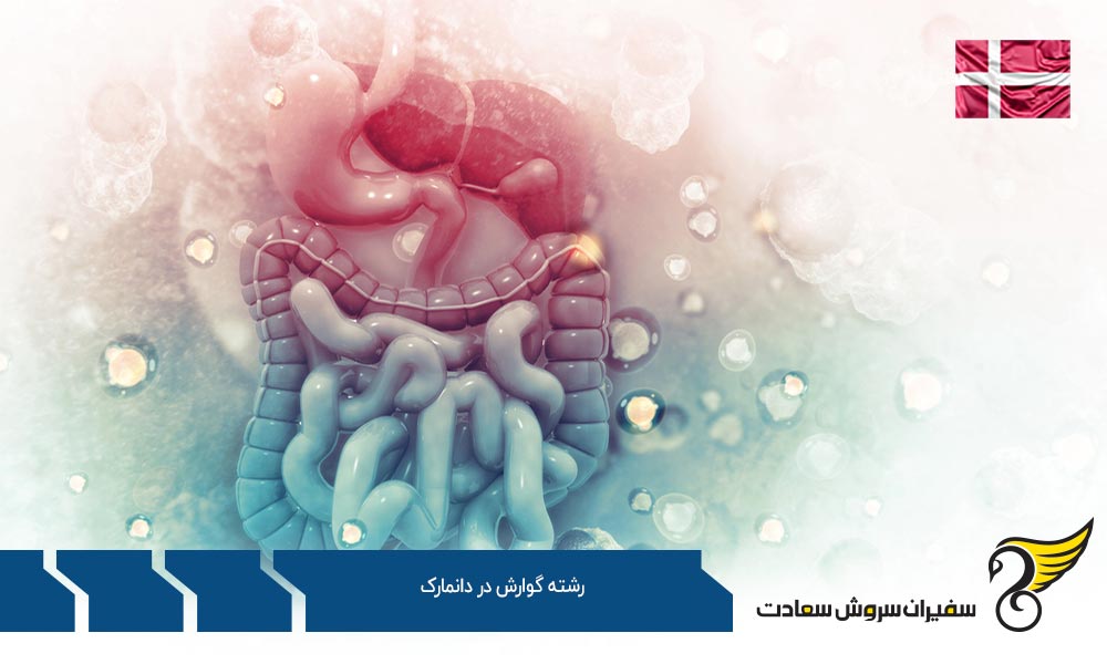 بهترین دانشگاه ها برای رشته گوارش در دانمارک