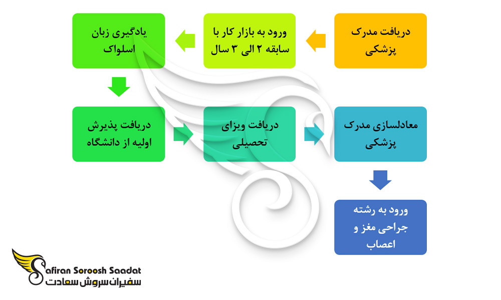 فرآیند تحصیل رشته جراحی مغز و اعصاب در اسلواکی