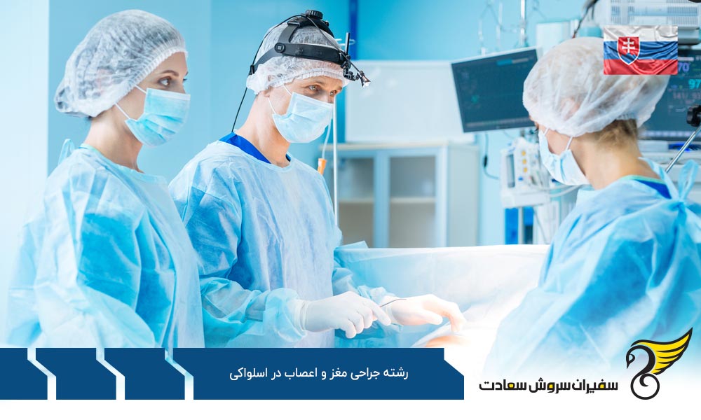 هزینه تحصیل رشته جراحی مغز و اعصاب در اسلواکی