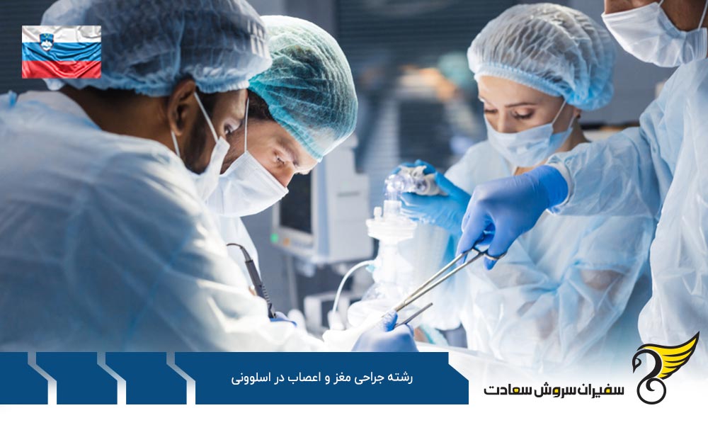 هزینه تحصیل رشته جراحی مغز و اعصاب در اسلوونی