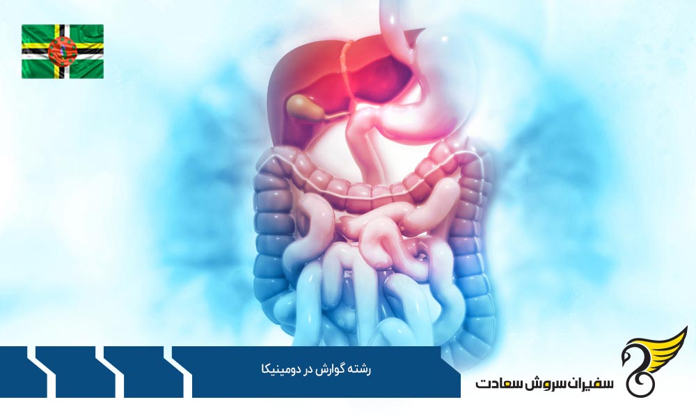 کار ضمن تحصیل رشته گوارش در دومینیکا