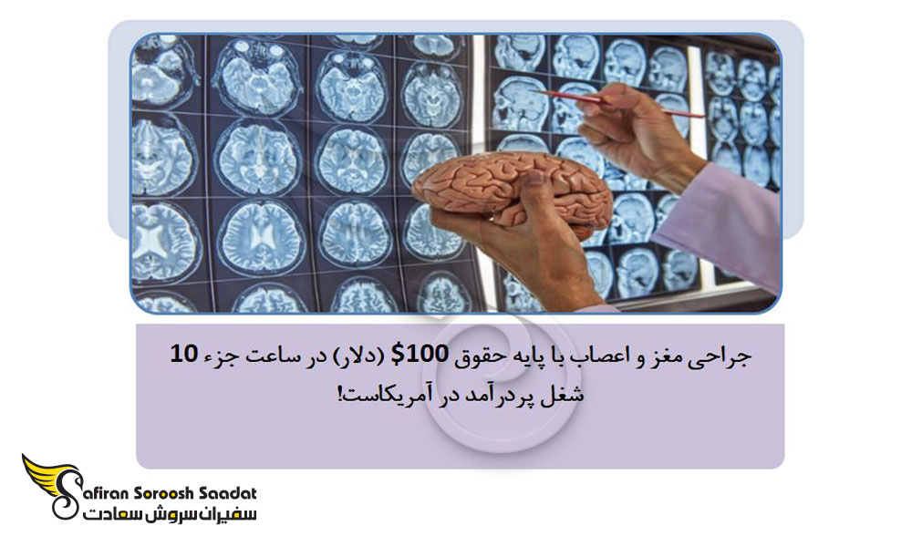 پایه حقوق رشته جراحی مغز و اعصاب در آمریکا