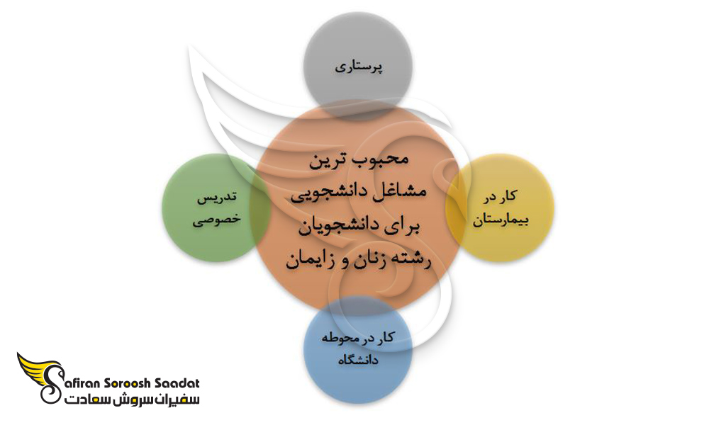 محبوب ترین مشاغل دانشجویی در نیوزلند