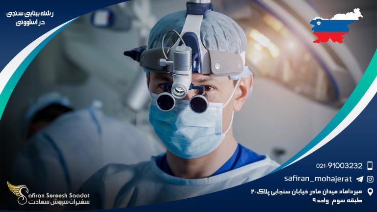 رشته بینایی سنجی در اسلوونی