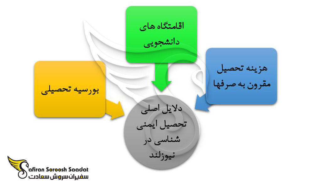 درک کلی از دلایل تحصیل رشته ایمنی شناسی در نیوزلند
