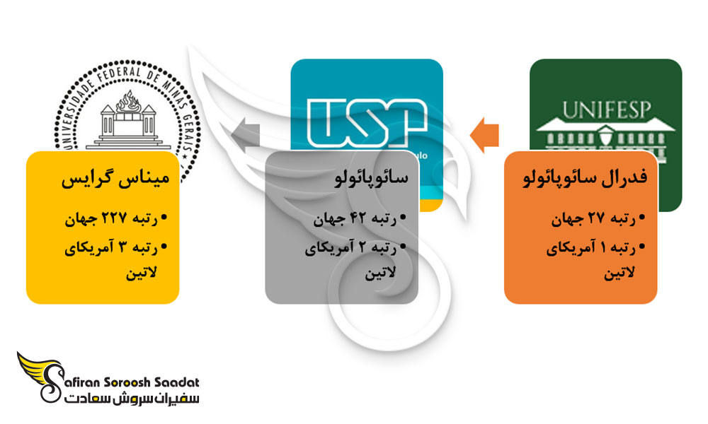 بهترین دانشگاه ها برای تحصیل رشته چشم پزشکی در برزیل