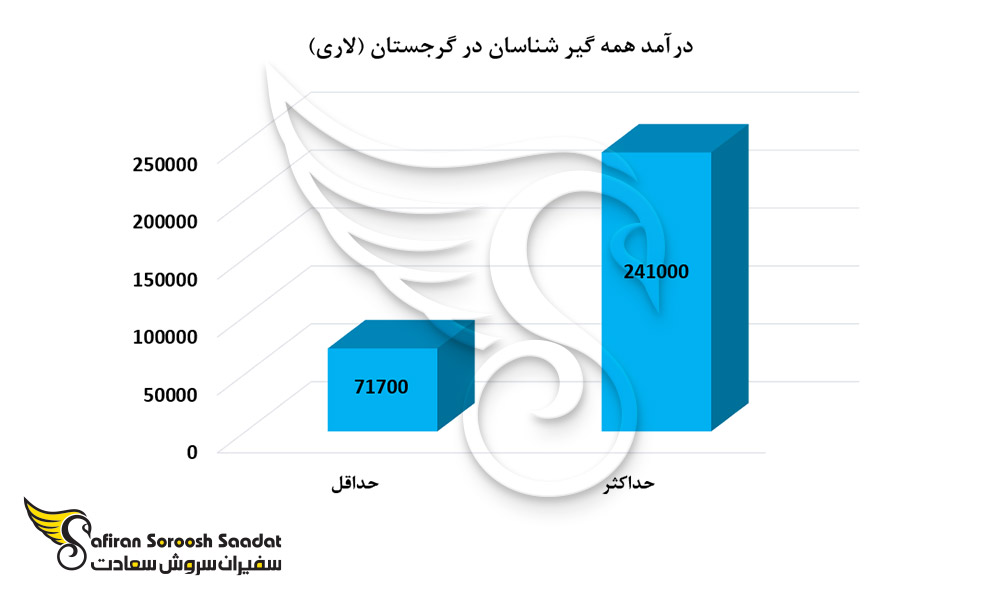 درآمد همه گیرشناسان در گرجستان