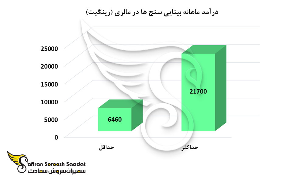 درآمد ماهانه بینایی سنج ها در مالزی