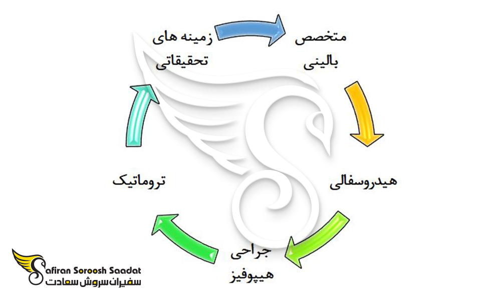 مهمترین مشاغل فارغ التحصیلان رشته جراحی مغز و اعصاب