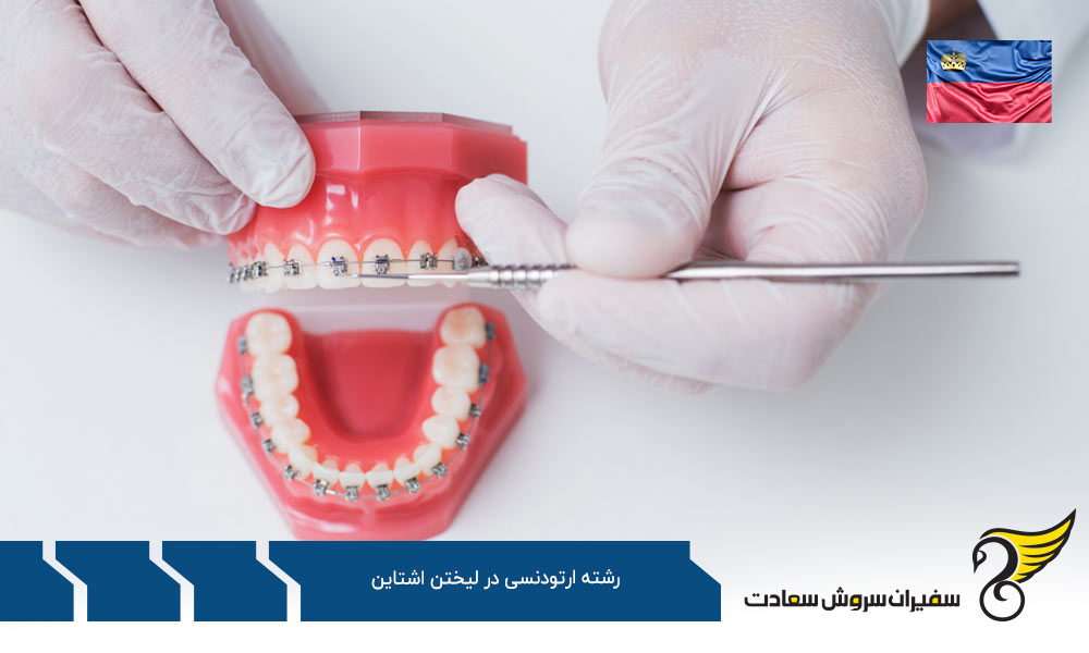 اخذ ویزا برای تحصیل در رشته ارتودنسی در لیختن اشتاین