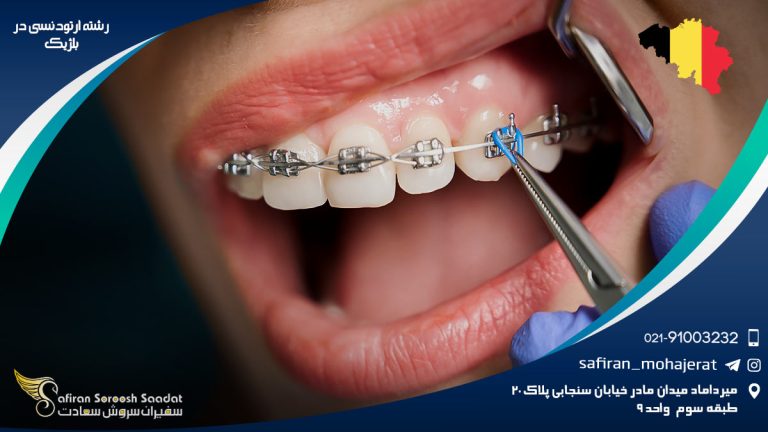 رشته ارتودنسی در بلژیک