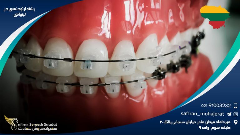 رشته ارتودنسی در لیتوانی