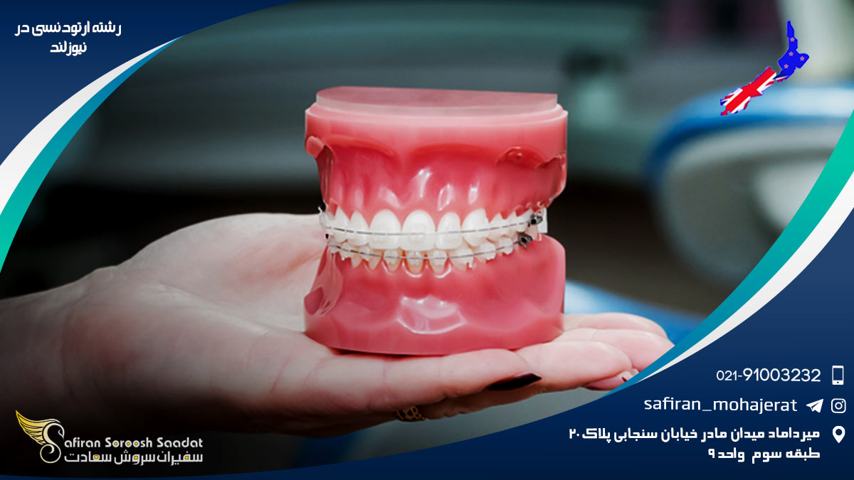 رشته ارتودنسی در نیوزلند