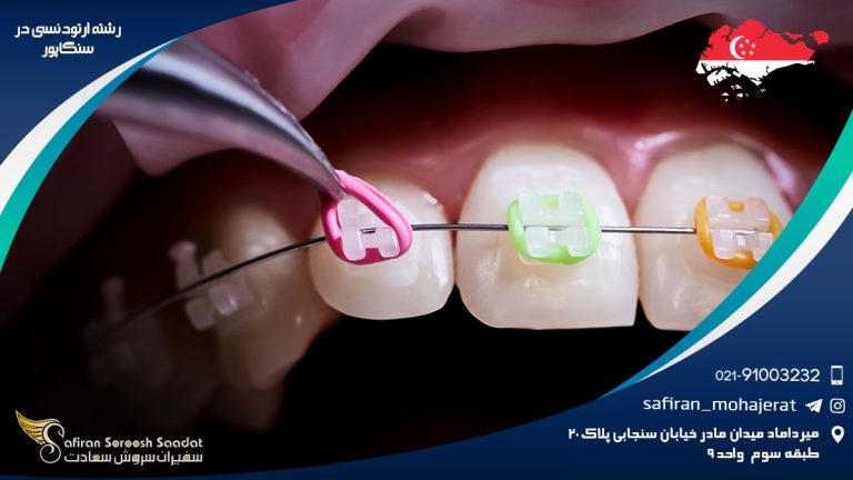 رشته ارتودنسی در سنگاپور
