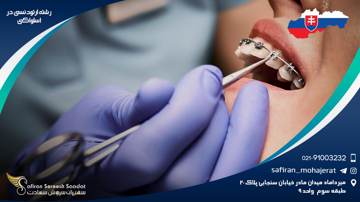 رشته ارتودنسی در اسلواکی