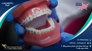 رشته ارتودنسی در آمریکا