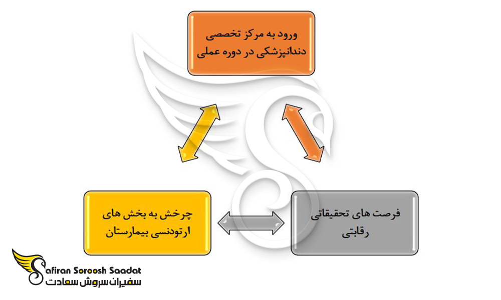 برخی از مزیت های مقطع کارشناسی ارشد ارتودنسی در نیوزلند