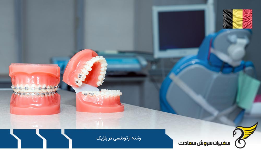 تحصیل رشته ارتودنسی در بلژیک