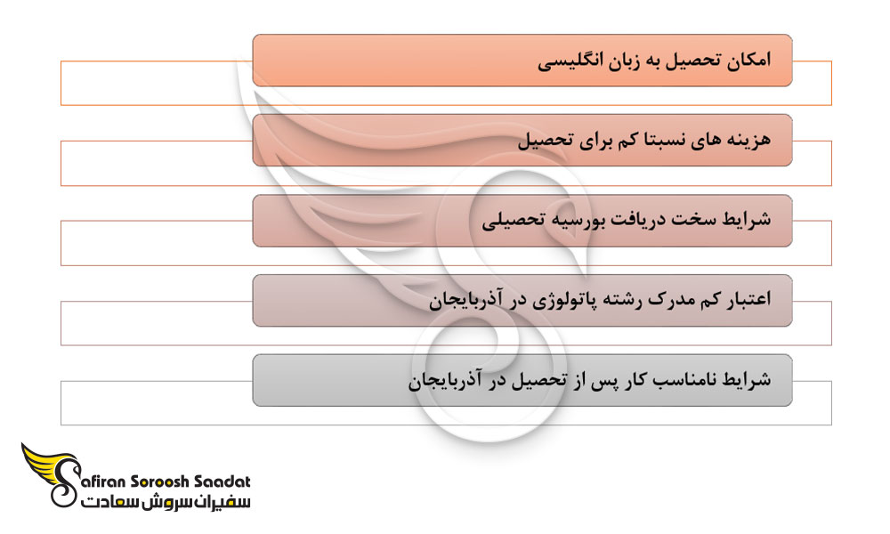 نکات مثبت و منفی در رابطه با تحصیل رشته آسیب شناسی در آذربایجان