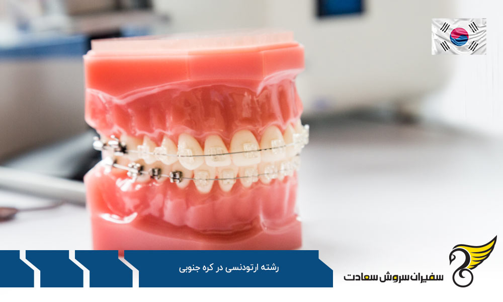 فرآیند تحصیل رشته ارتودنسی در کره جنوبی