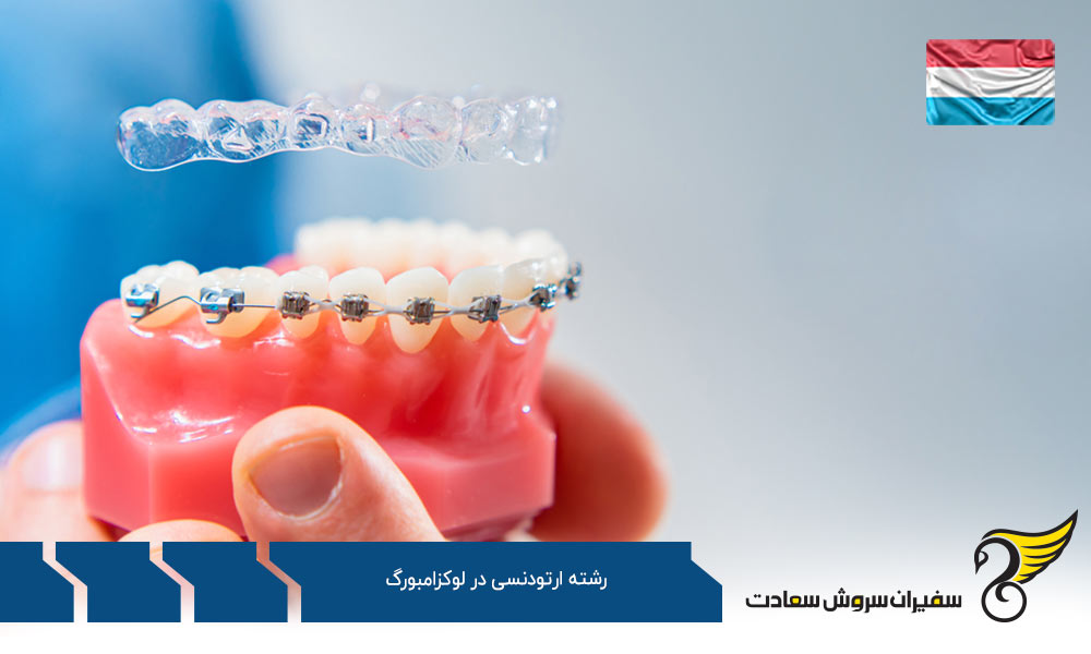 کار ضمن تحصیل رشته ارتودنسی در لوکزامبورگ