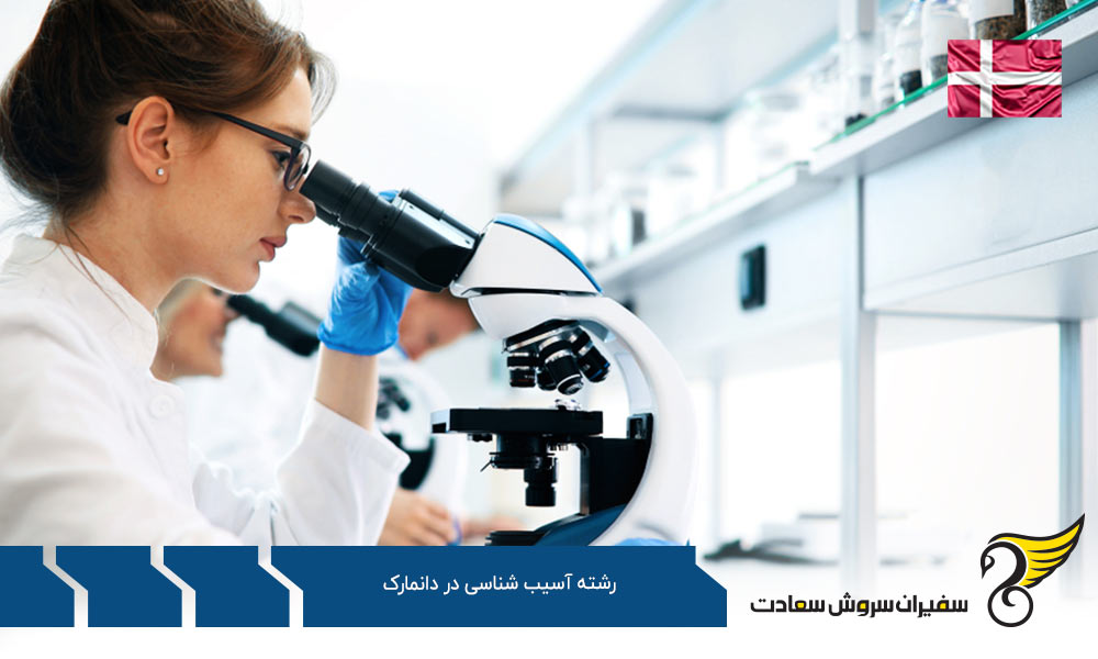شرایط تحصیل رشته آسیب شناسی در دانمارک