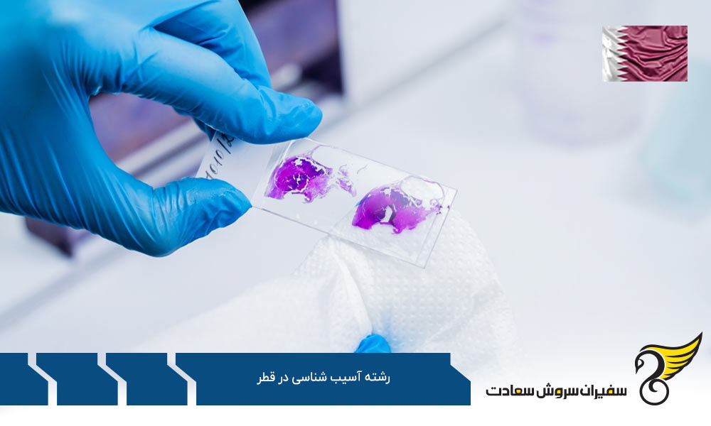 هزینه تحصیل رشته آسیب شناسی در قطر
