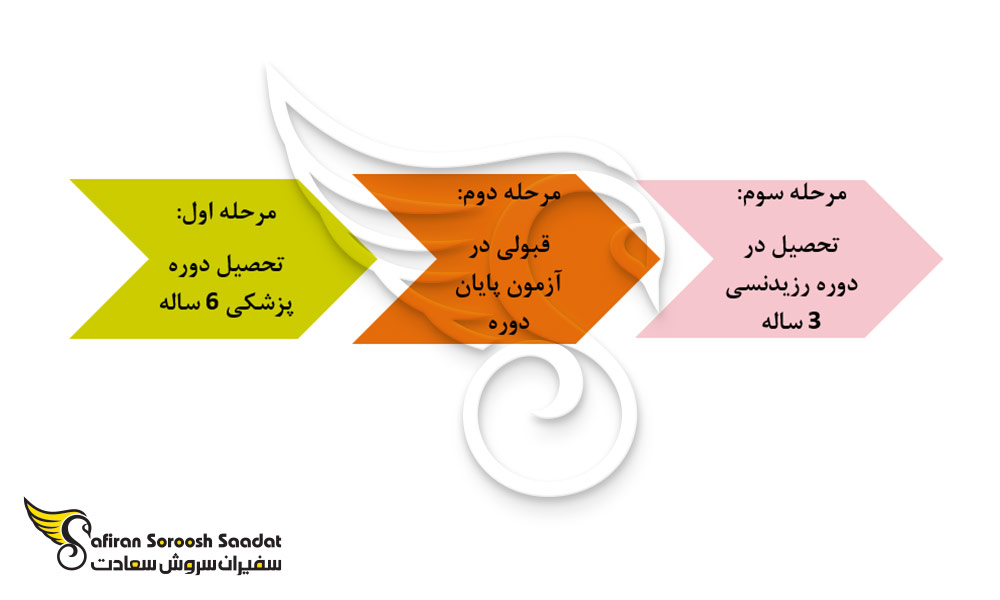 ساختار کلی تحصیل رشته تخصص اطفال در ارمنستان