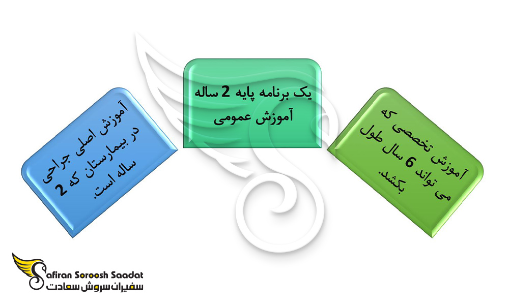ساختار کلی رشته جراحی پلاستیک در اسکاتلند