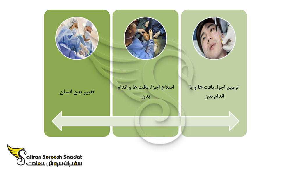 معرفی رشته جراحی پلاستیک در چک