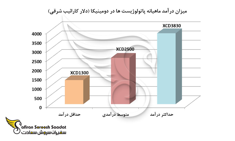 میزان درآمد ماهیانه پاتولوژیست ها در دومینیکا