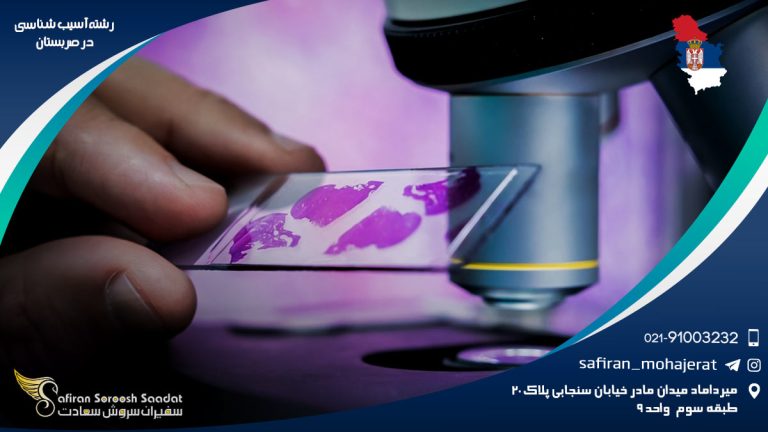 رشته آسیب شناسی در صربستان