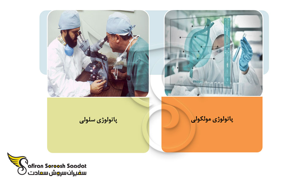 گرایشات تحصیلی رشته آسیب شناسی در دانمارک
