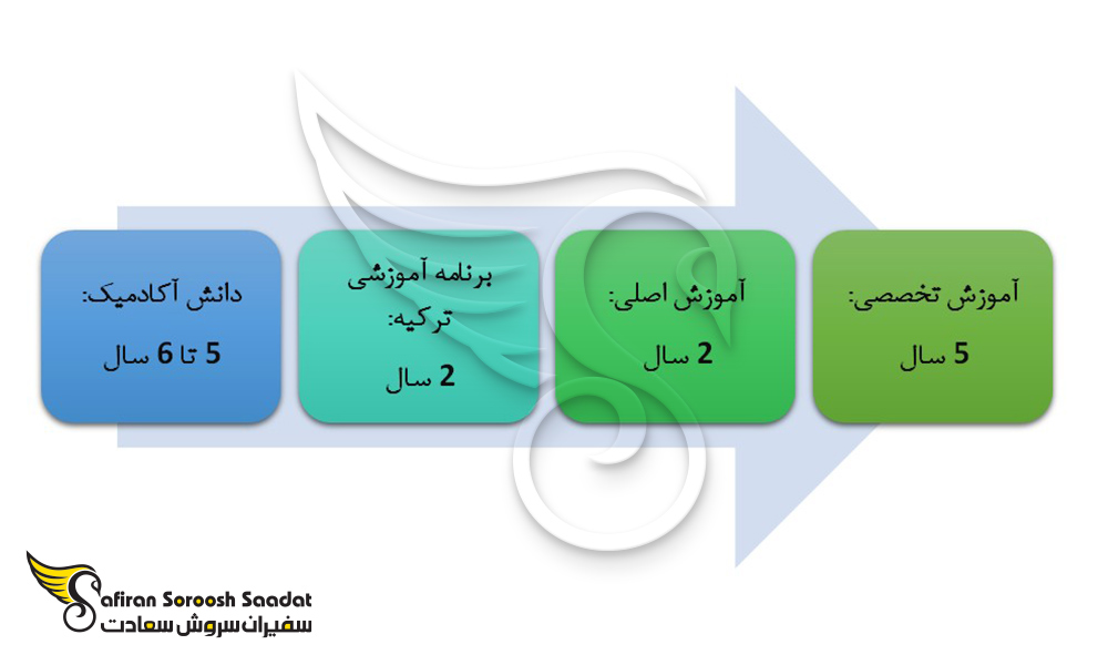 مسیر آموزشی رشته آسیب شناسی در ترکیه
