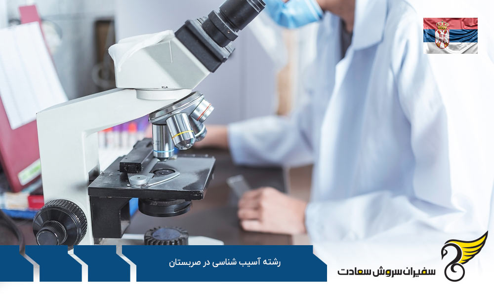صربستان ارزانترین کشور اروپایی برای تحصیل رشته آسیب شناسی
