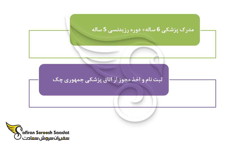 شروط کار به عنوان جراح پلاستیک در چک