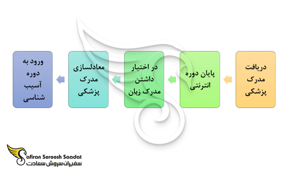 فرآیند تحصیل رشته آسیب شناسی در ایسلند