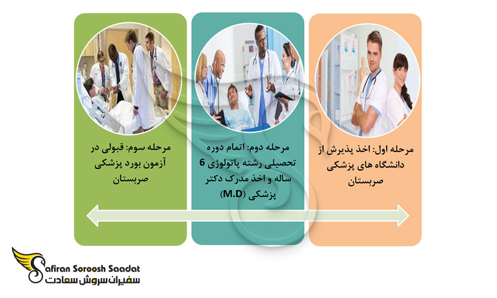 کل پروسه تحصیل رشته آسیب شناسی در صربستان