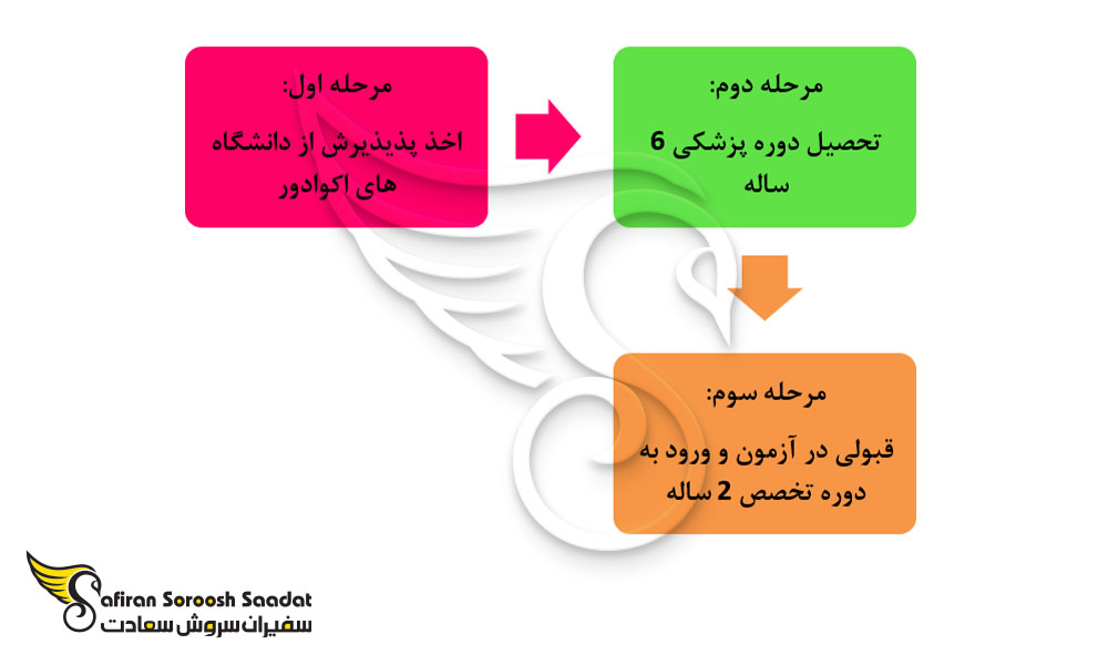کل پروسه تحصیل رشته تخصص اطفال در اکوادور