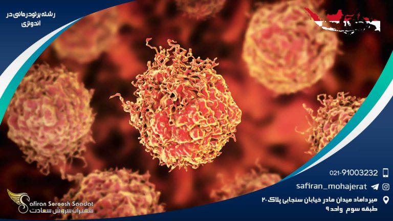 رشته پرتودرمانی در اندونزی