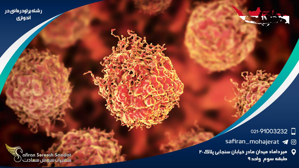 رشته پرتودرمانی در اندونزی