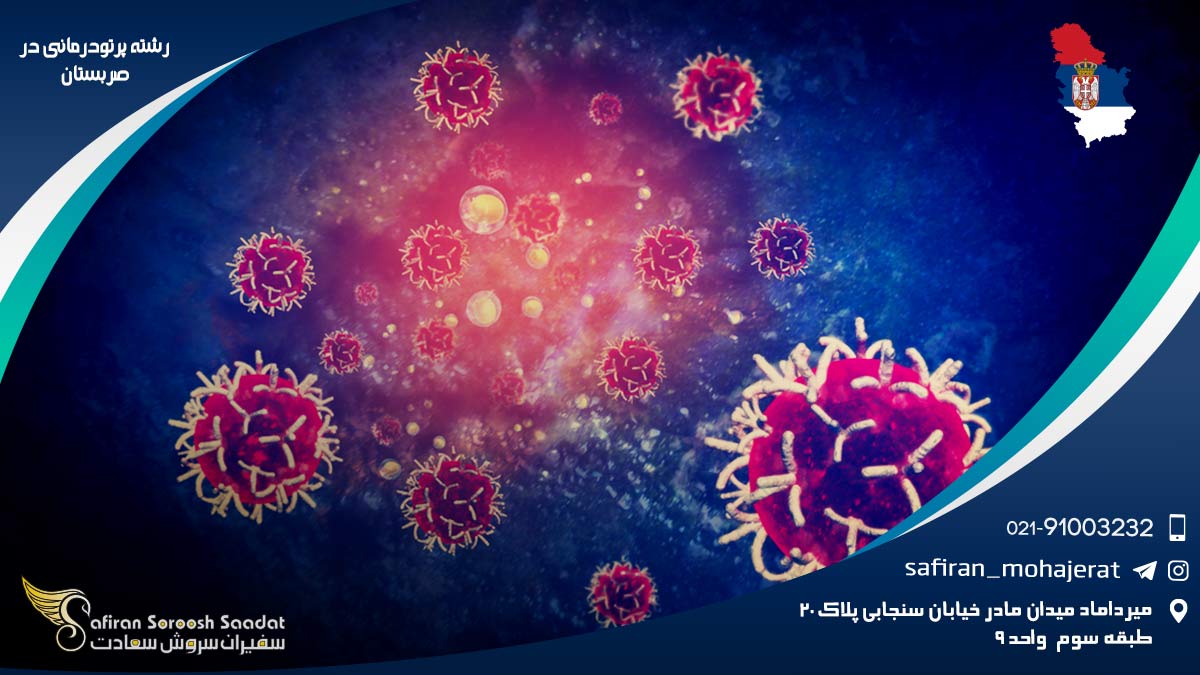 رشته پرتودرمانی در صربستان
